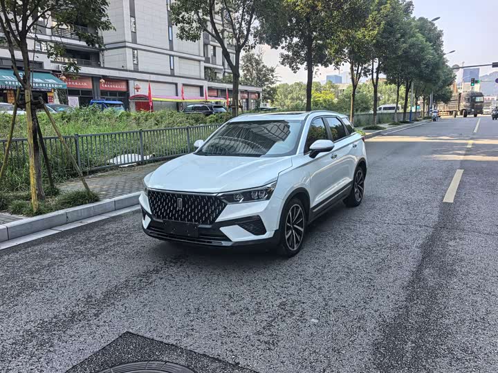Bestune T77 2019 230 TID АКПП Люкс guo V