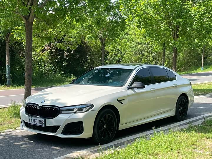 BMW 5 Series 2014 520Li dian ya xing