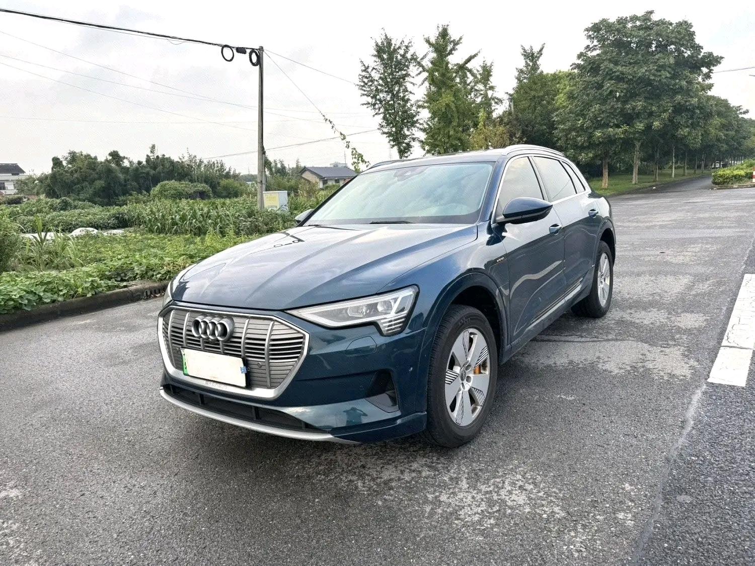 Audi e-tron 2019 55 quattro Style