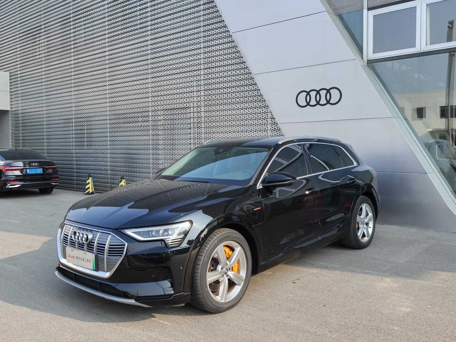 Audi e-tron 2019 55 quattro Style