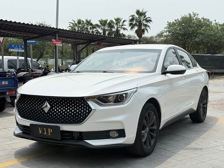 Baojun RC-6 2019 1.5T CVT 24 xiao shi zai xian Люкс