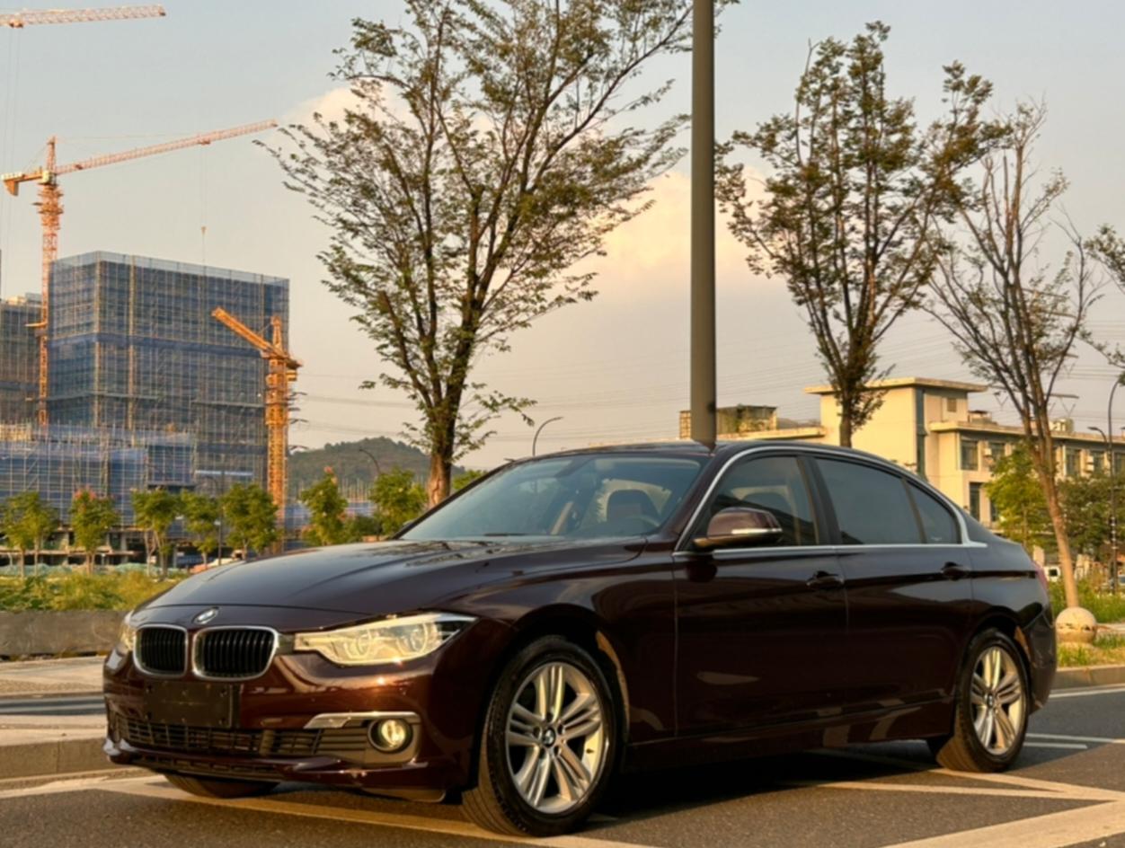 BMW 3 Series 2016 320Li Style