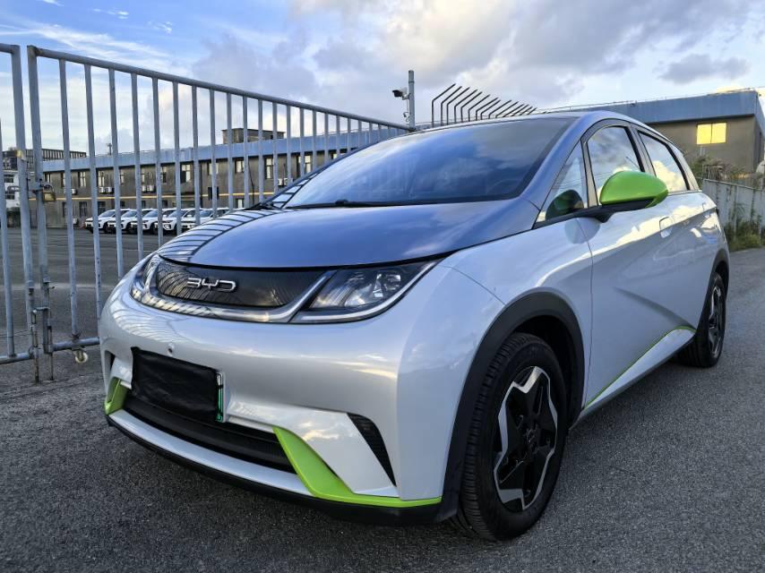 BYD Dolphin 2021 zi you ban