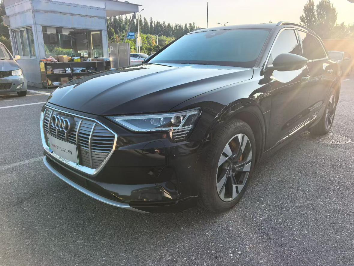 Audi e-tron 2019 55 quattro Style