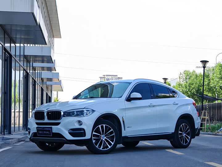 BMW X6 2015 xDrive35i Leading