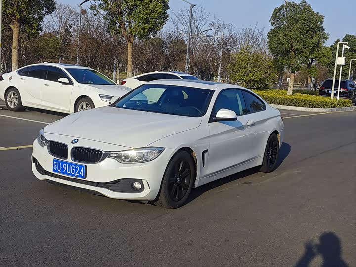 BMW 4 Series 2014 420i Style