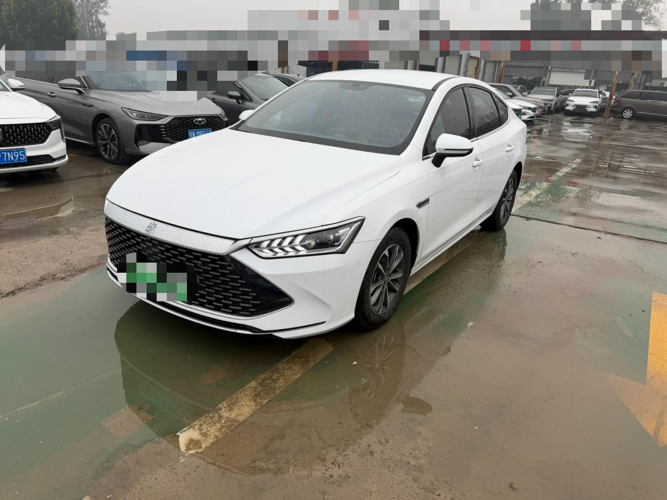 BYD Qin Plus DM 2023 DM-i guan jun ban 55KM Leading