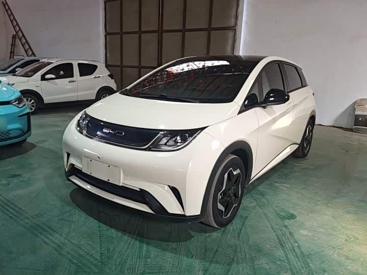 BYD Dolphin 2021 405km shi shang ban