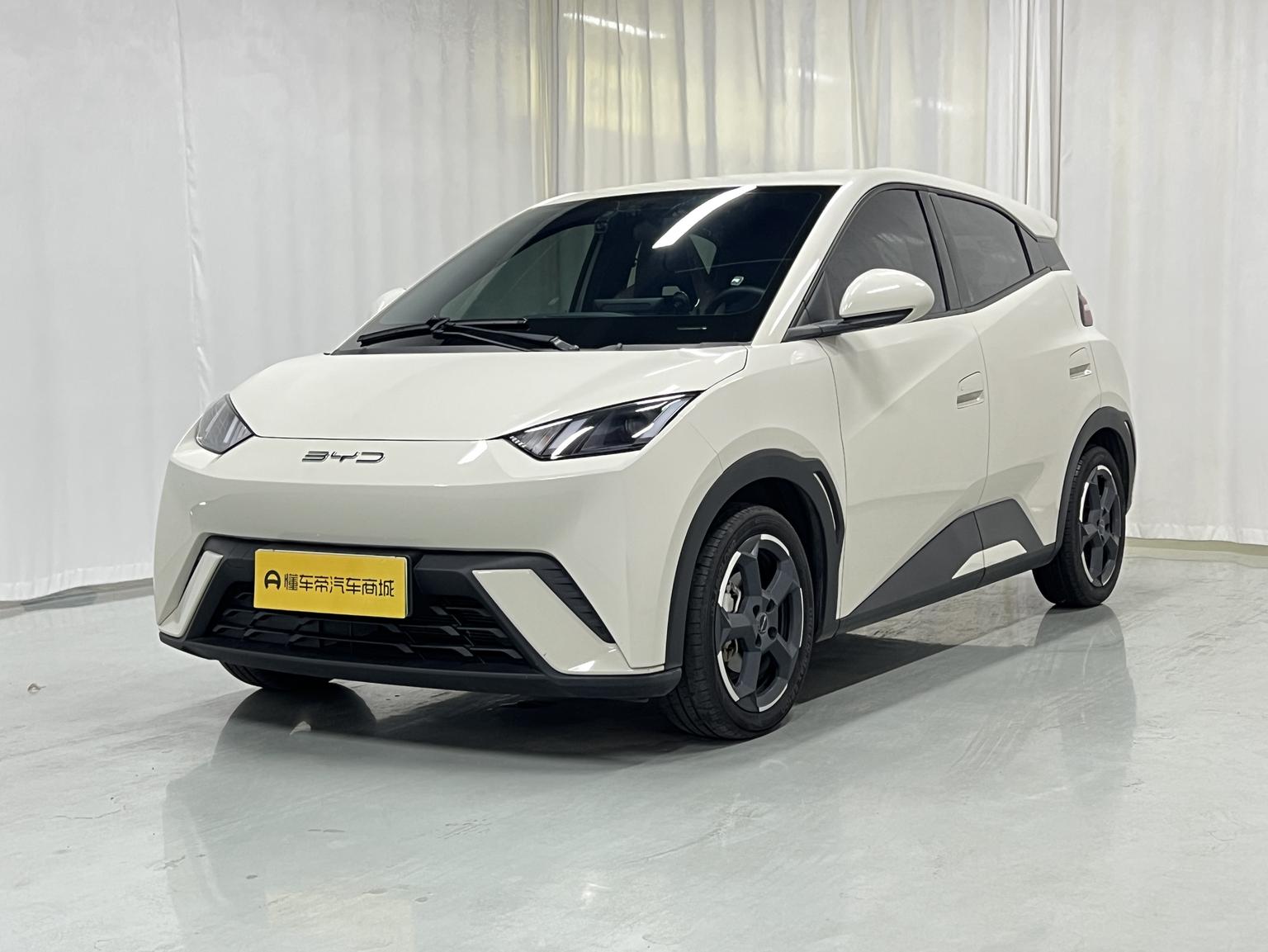 BYD Seagull 2023 zi you ban