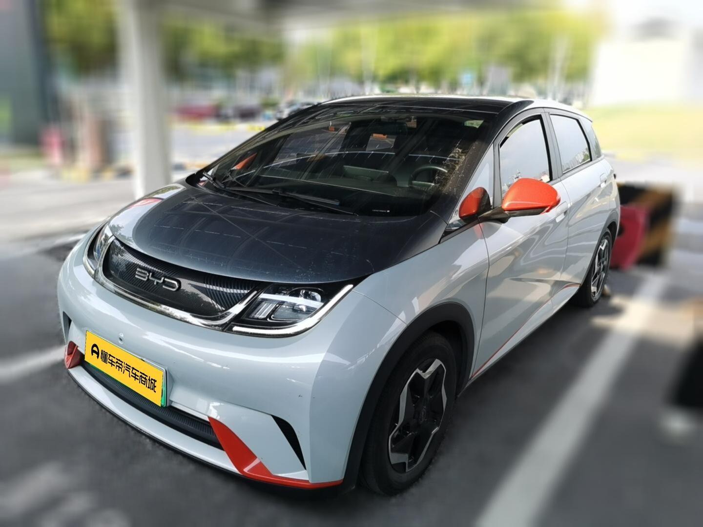 BYD Dolphin 2021 zi you ban