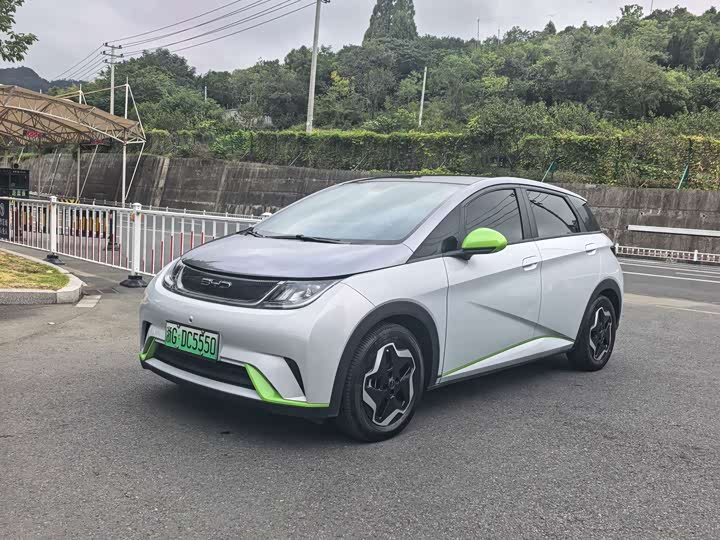 BYD Dolphin 2021 405km shi shang ban