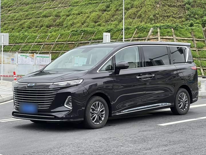 Bestune M9 2023 2.0T zhi zun xing