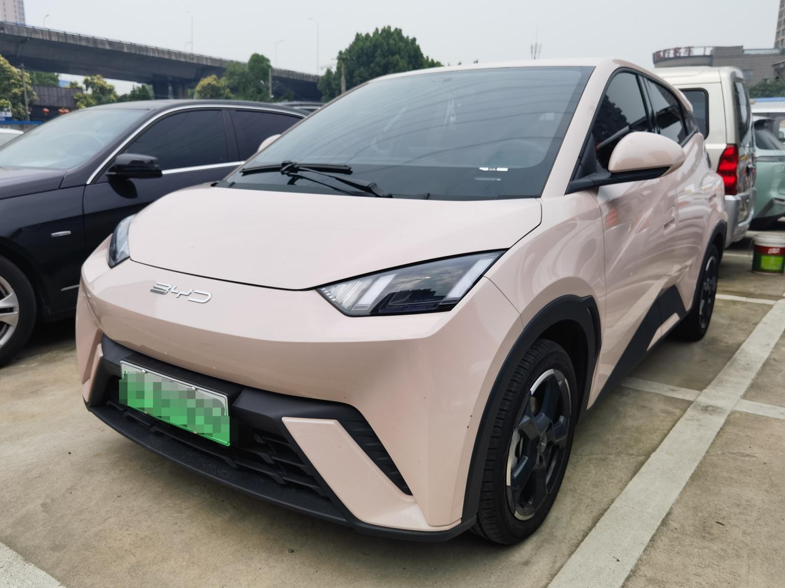 BYD Seagull 2023 zi you ban