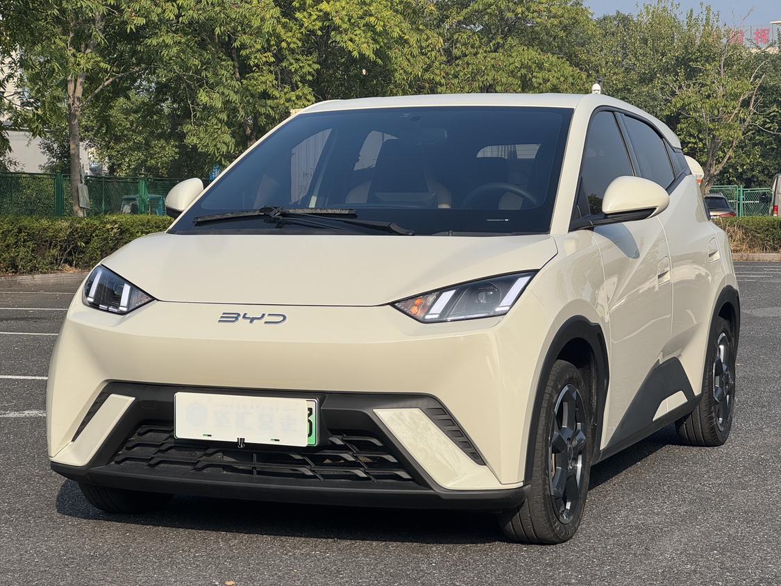 BYD Seagull 2023 zi you ban