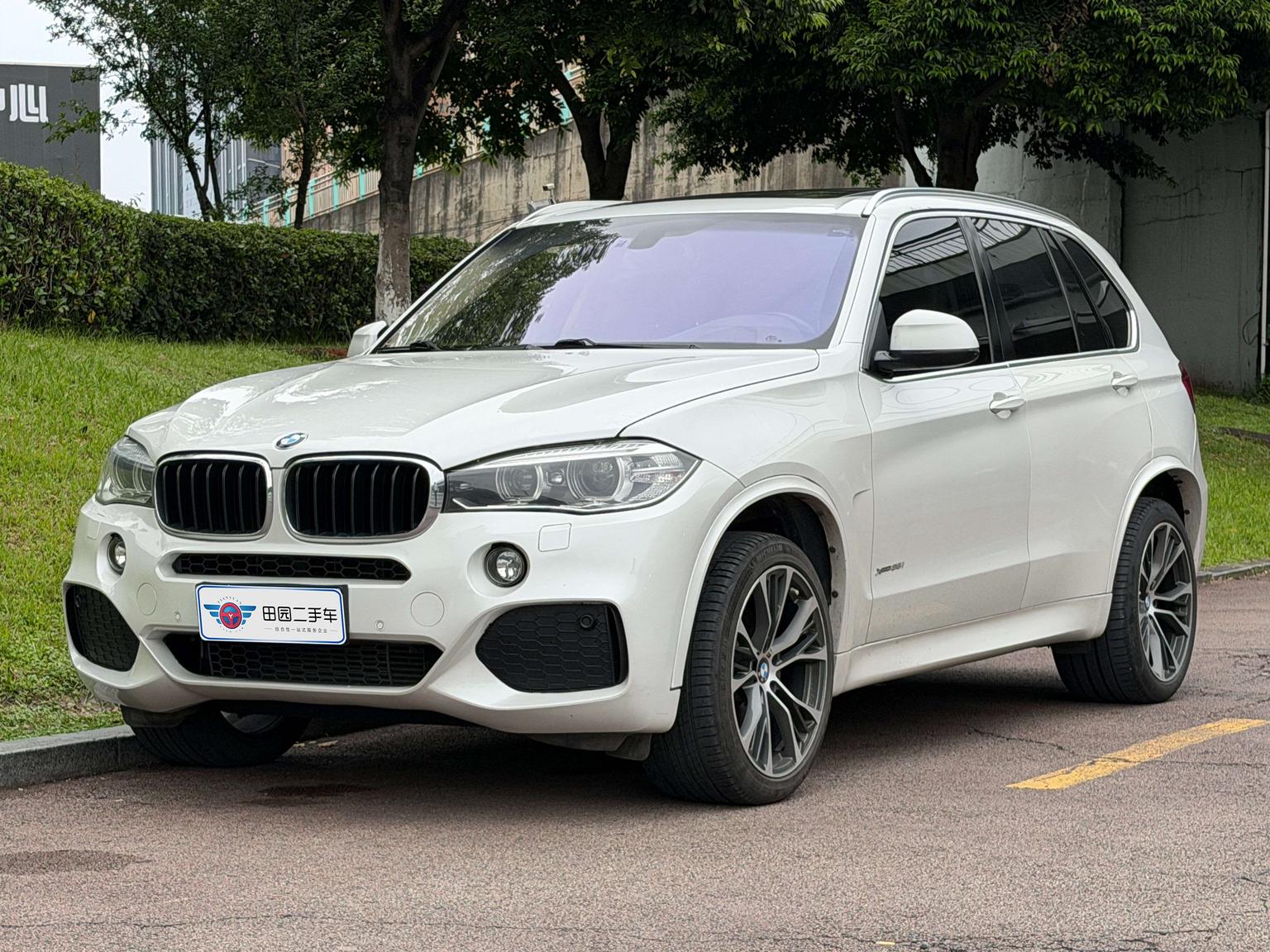 BMW X5 2017 xDrive35i dian ya xing