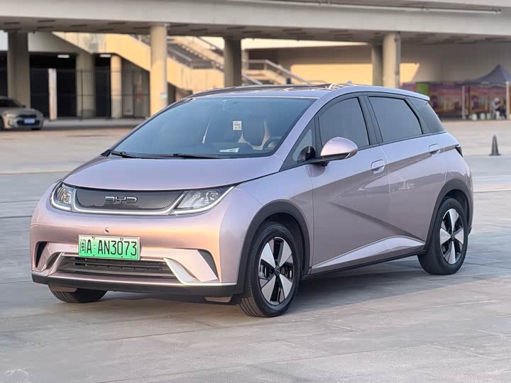 BYD Dolphin 2021 405km zi you ban