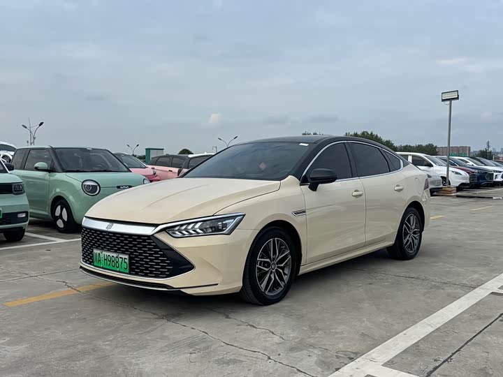 BYD Qin Plus 2021 DM-i 55KM Flagship