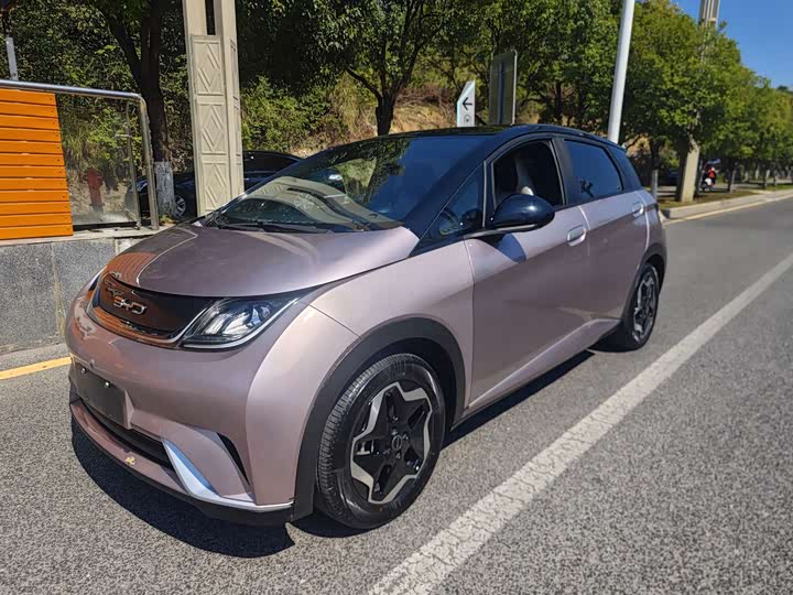 BYD Dolphin 2021 405km zi you ban