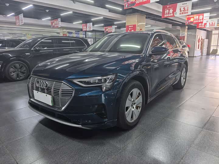Audi e-tron 2019 55 quattro Style