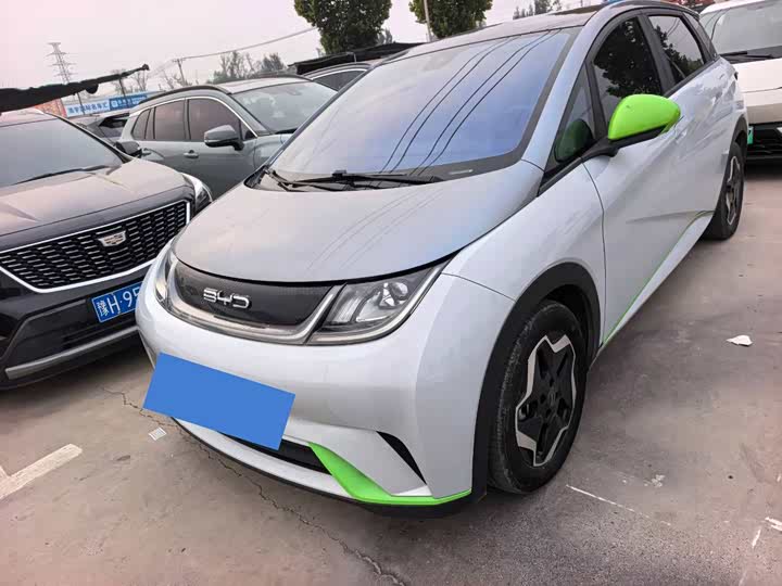 BYD Dolphin 2021 405km shi shang ban
