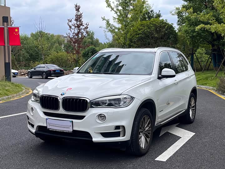 BMW X5 2014 xDrive35i Leading