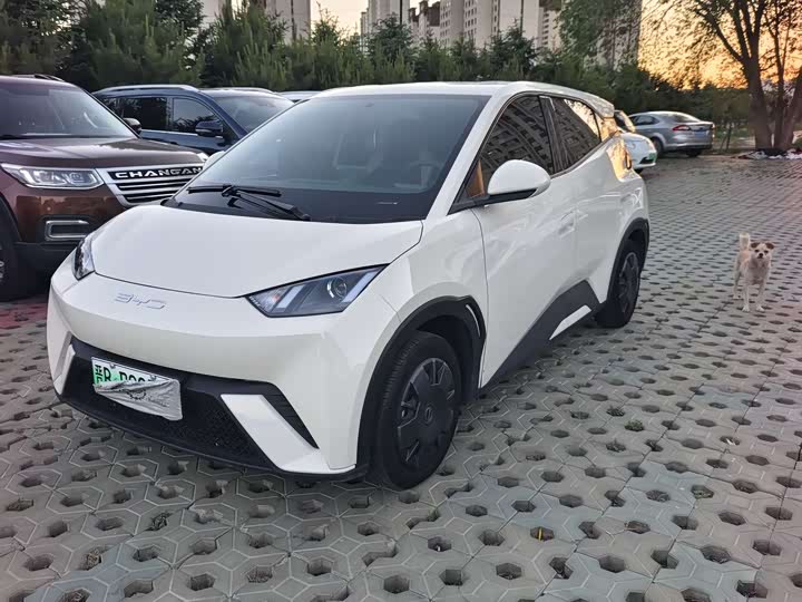 BYD Seagull 2023 huo li ban