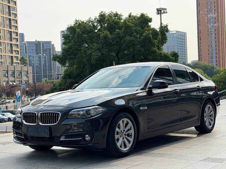 BMW 5 Series 2014 520i dian ya xing