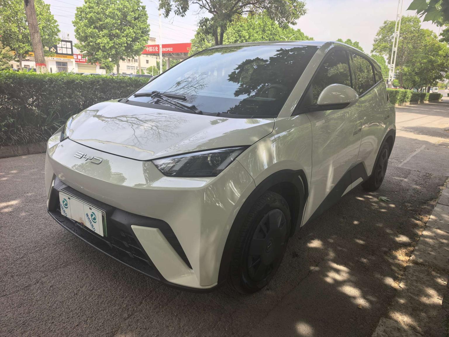 BYD Seagull 2024 rong yao ban 305KM huo li ban
