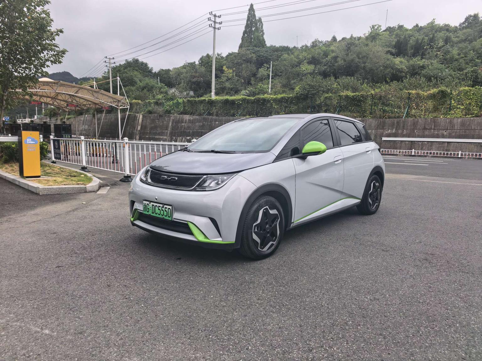BYD Dolphin 2021 shi shang ban