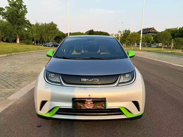 BYD Dolphin 2021 405km shi shang ban
