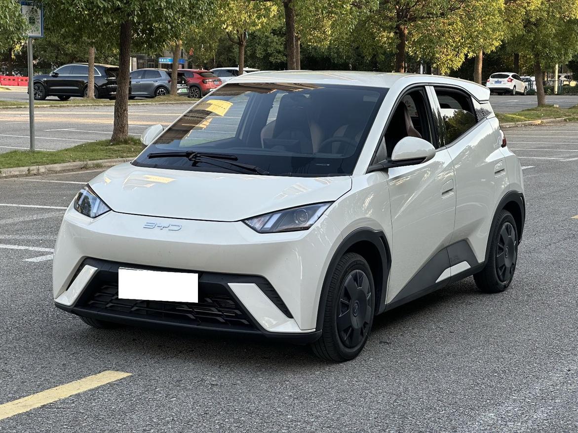BYD Seagull 2023 huo li ban