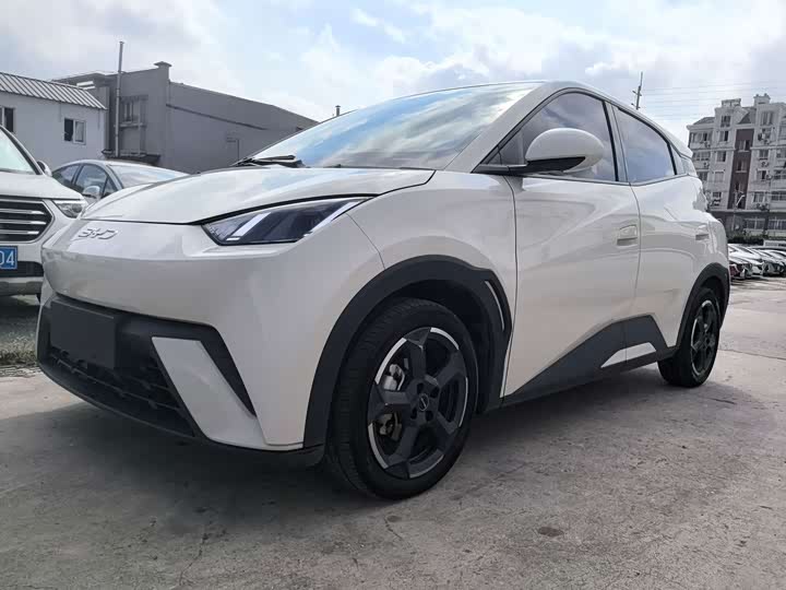 BYD Seagull 2024 rong yao ban 305km huo li ban