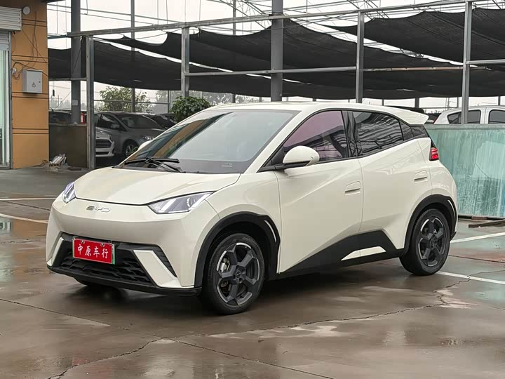 BYD Seagull 2023 zi you ban