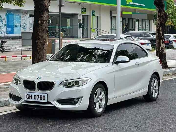 BMW 2 Series 2014 220i Leading