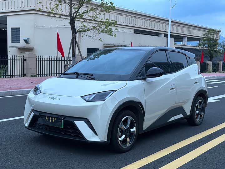 BYD Seagull 2023 zi you ban