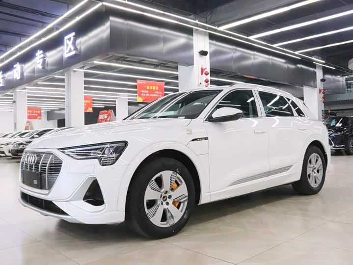 Audi e-tron 2021 50 quattro Люкс