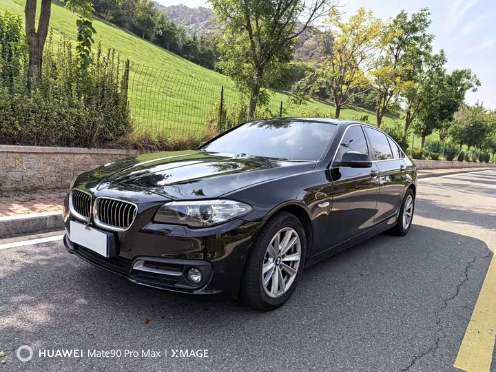 BMW 5 Series 2014 520Li dian ya xing