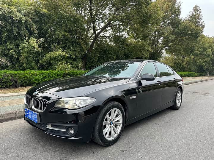 BMW 5 Series 2015 520i dian ya xing