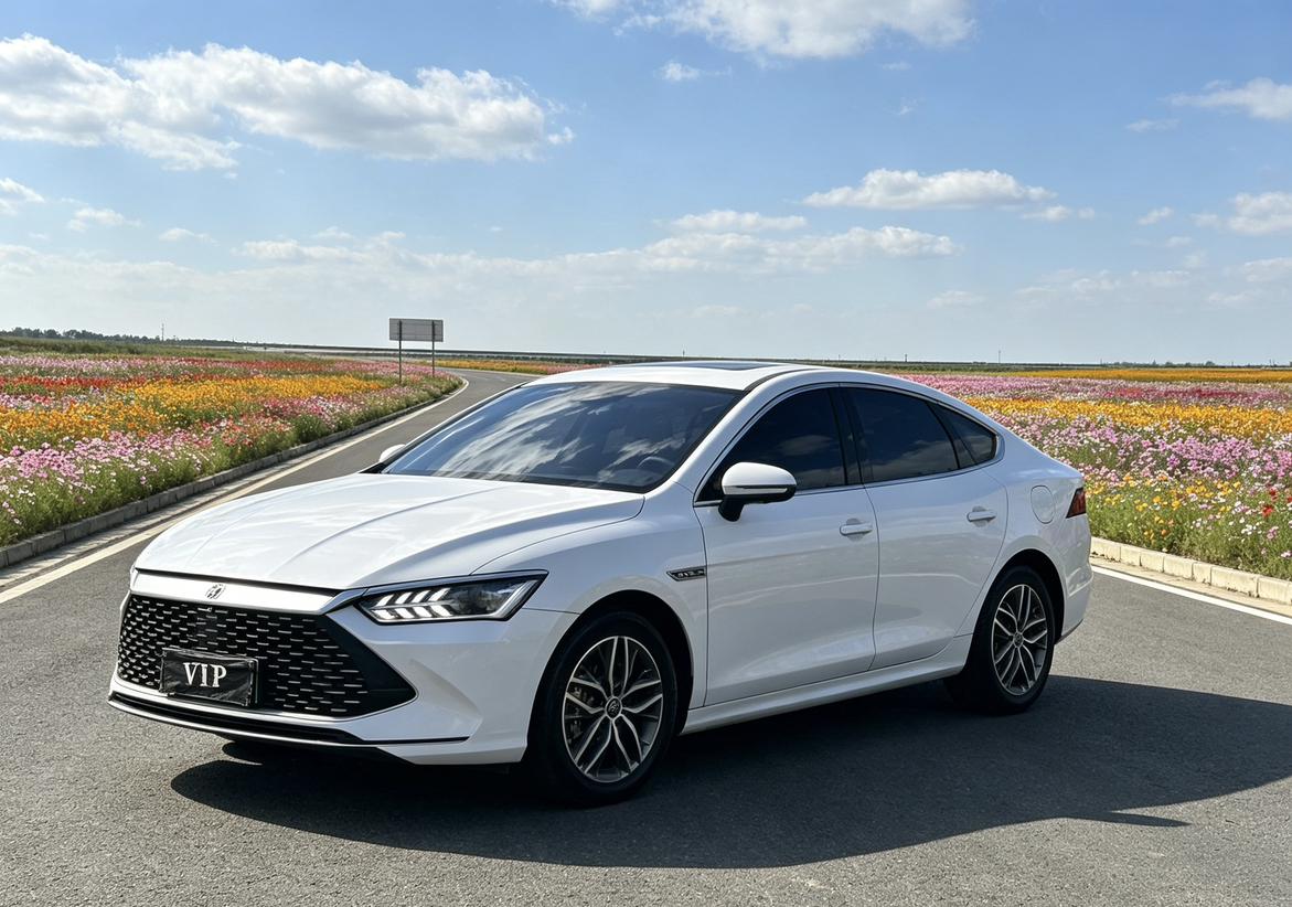BYD Qin Plus DM 2021 DM-i 55KM Премиум