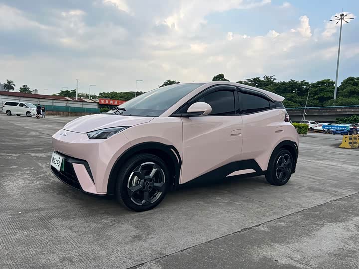 BYD Seagull 2024 rong yao ban 305km zi you ban