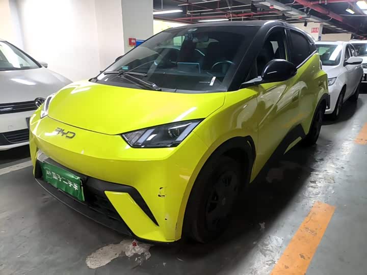BYD Seagull 2023 huo li ban