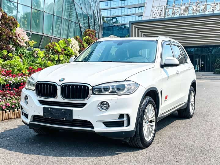 BMW X5 2014 xDrive35i Leading