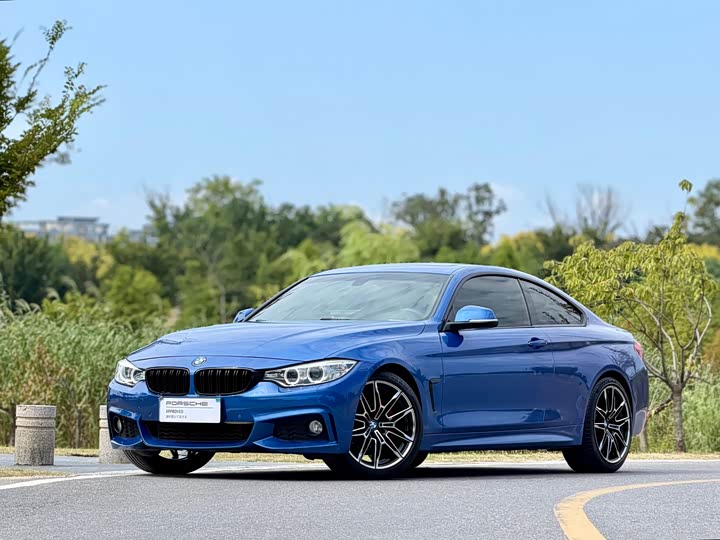 BMW 4 Series 2016 420i she ji tao zhuang xing