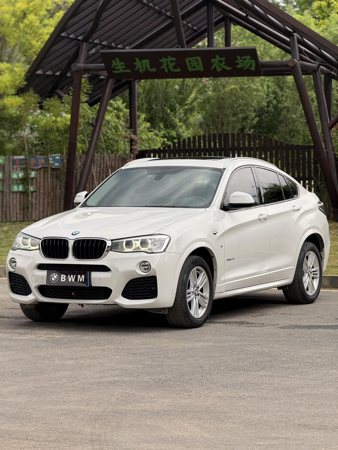 BMW X4 2016 xDrive20i M Sport