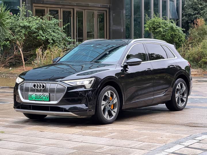 Audi e-tron 2019 55 quattro ji shu xing