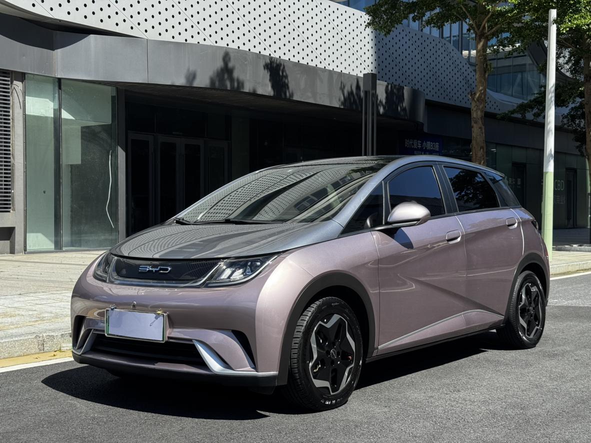 BYD Dolphin 2021 shi shang ban