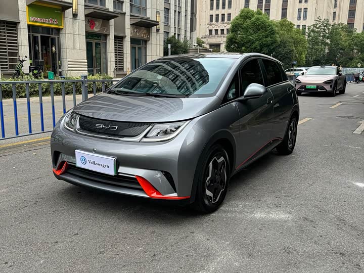 BYD Dolphin 2021 405km zi you ban