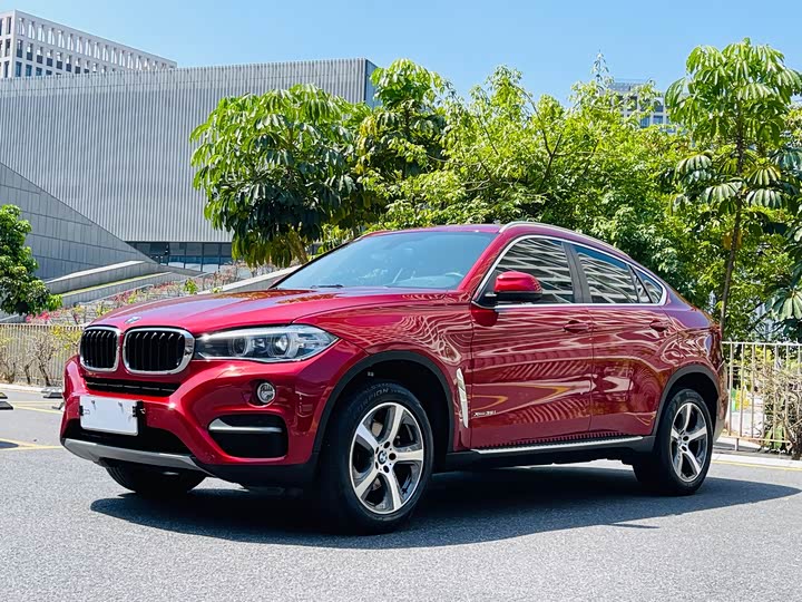 BMW X6 2015 xDrive35i Leading