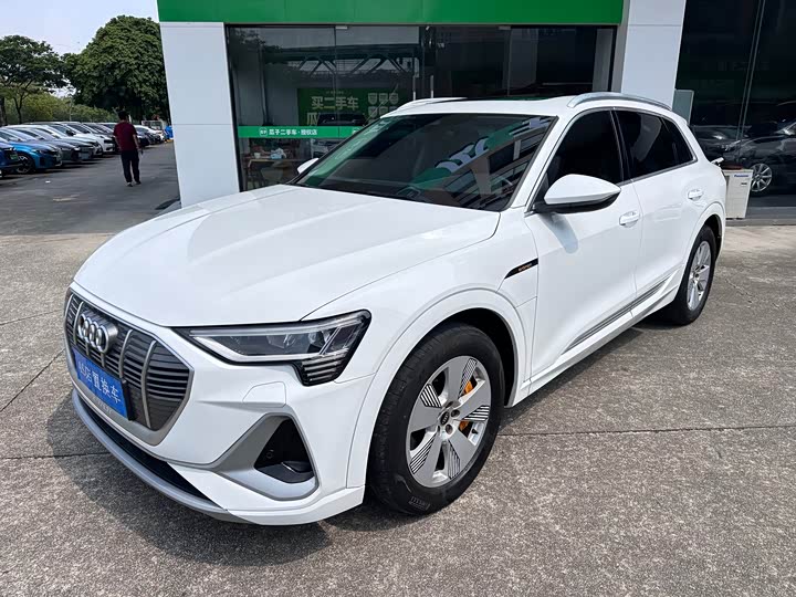 Audi e-tron 2021 50 quattro Люкс
