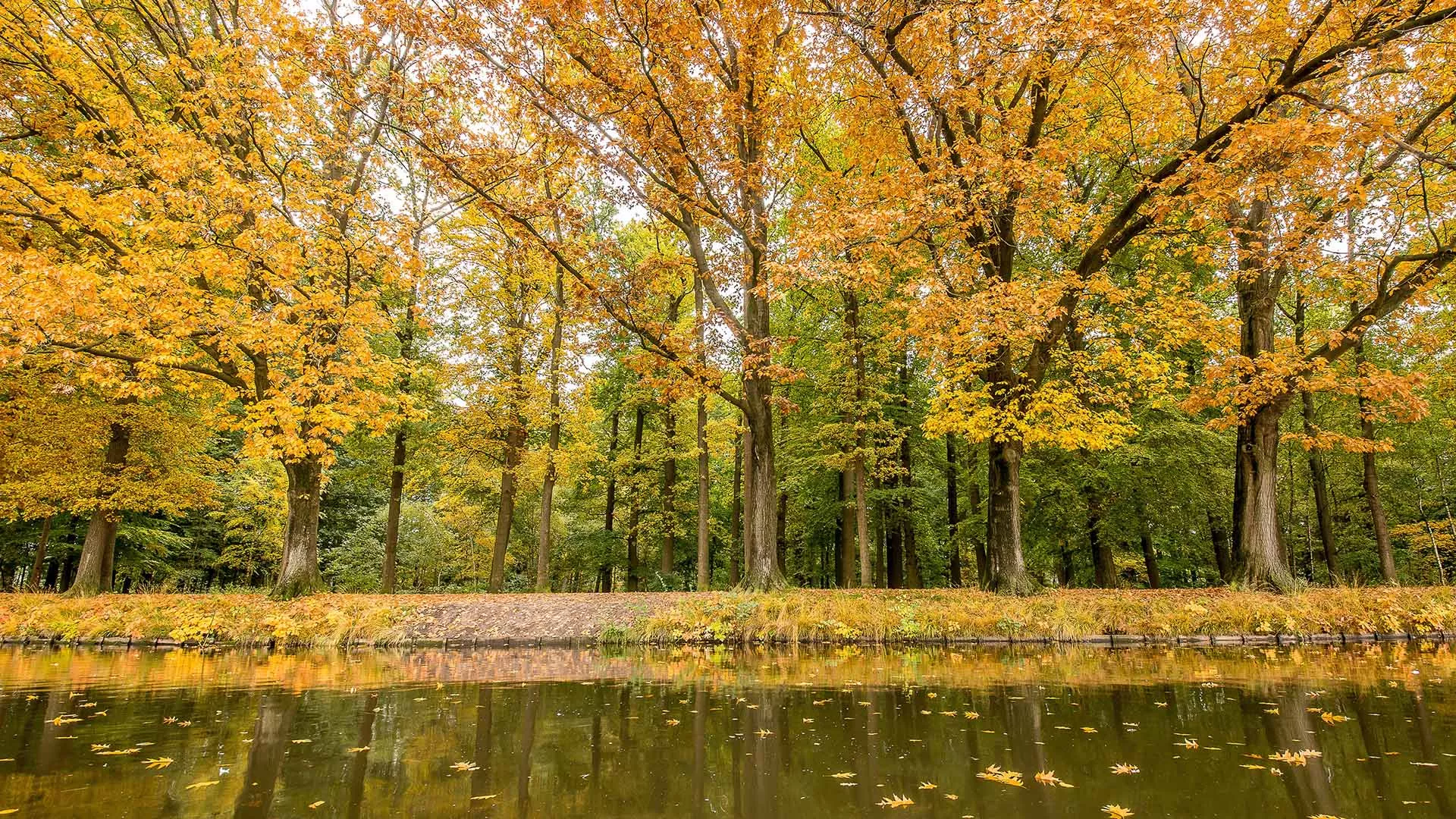 gallery-img